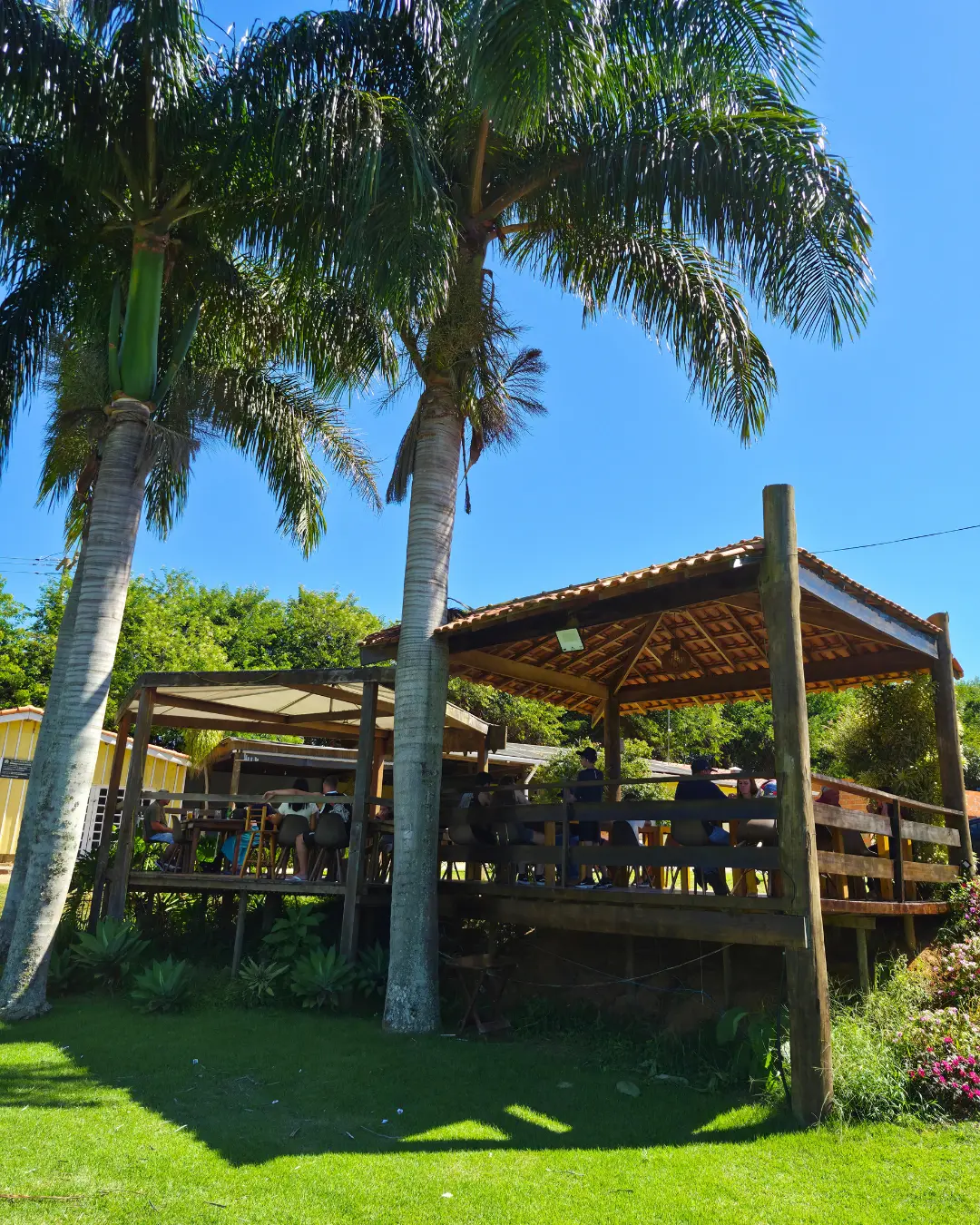 Deck coberto do restaurante entre palmeiras